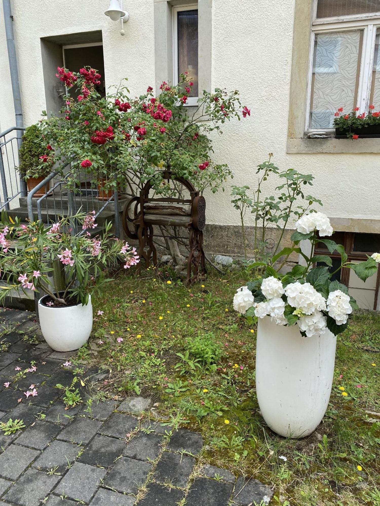 Apartments Und Zimmer Gaestehaus Matthias Dresde Exterior foto