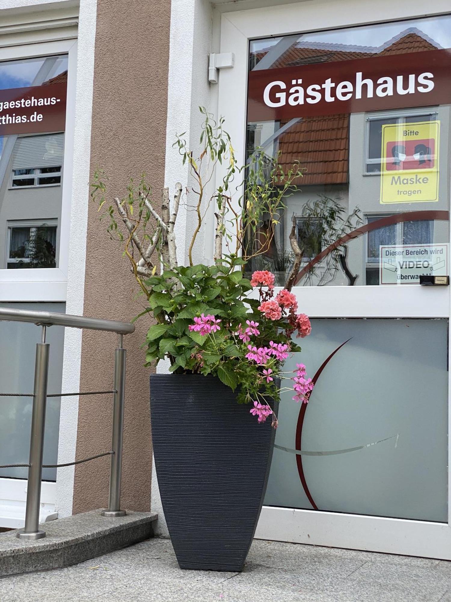 Apartments Und Zimmer Gaestehaus Matthias Dresde Exterior foto
